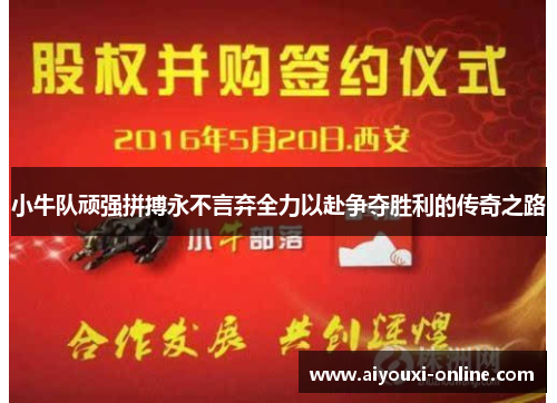 小牛队顽强拼搏永不言弃全力以赴争夺胜利的传奇之路