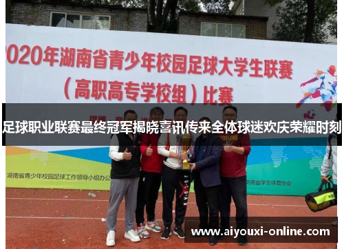足球职业联赛最终冠军揭晓喜讯传来全体球迷欢庆荣耀时刻
