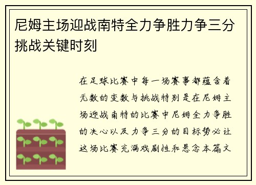 尼姆主场迎战南特全力争胜力争三分挑战关键时刻